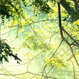 Condoléances de Jocelyn Bédard & Sylvie Laroche 