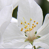 Condoléances de Céline Després & Normand Côté 