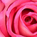 Condoléances de Marie et Claude Grenier