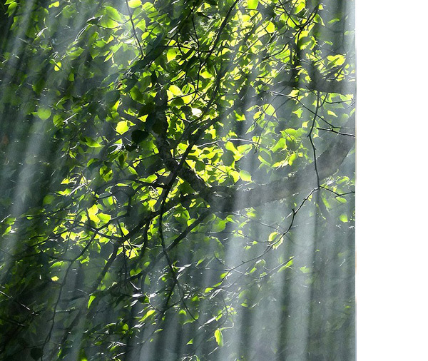 Beaudoin | Ferland | Dupuis - Maison Funéraire